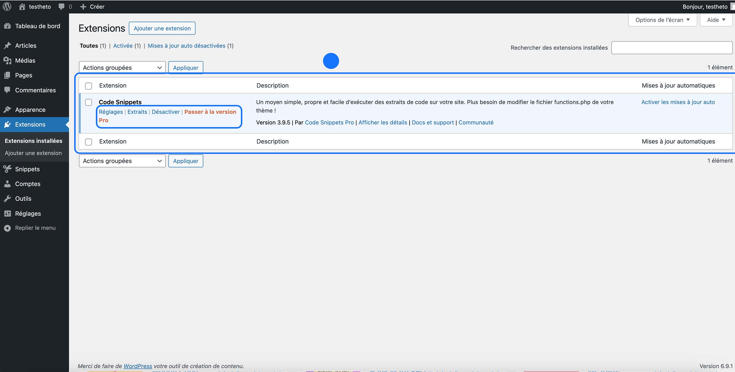 Extension Code Snippets activée dans la liste des extensions WordPress