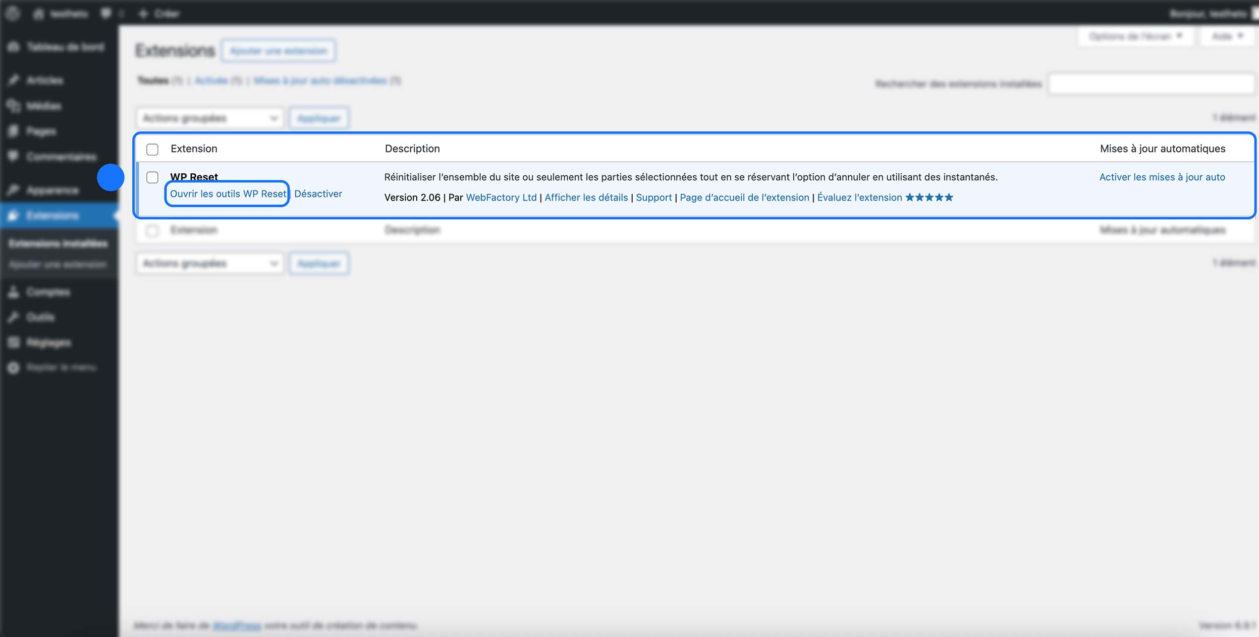 Ouverture des outils de l’extension WP Reset depuis la liste des extensions WordPress afin d’accéder aux options de réinitialisation du site.
