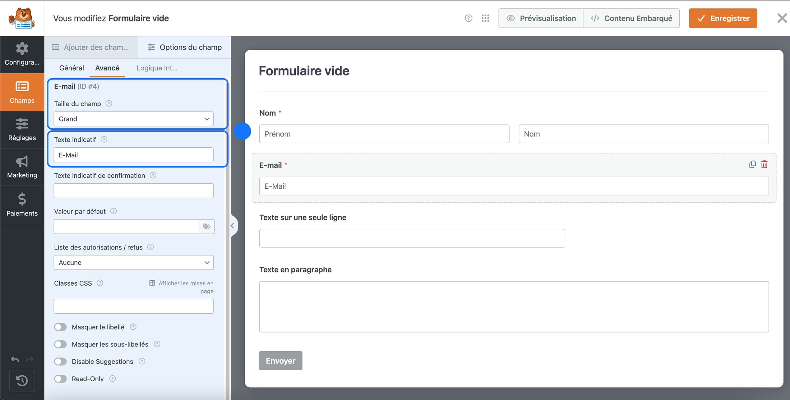 Configuration avancée du champ E-mail dans un formulaire WordPress avec texte indicatif et options d’affichage.