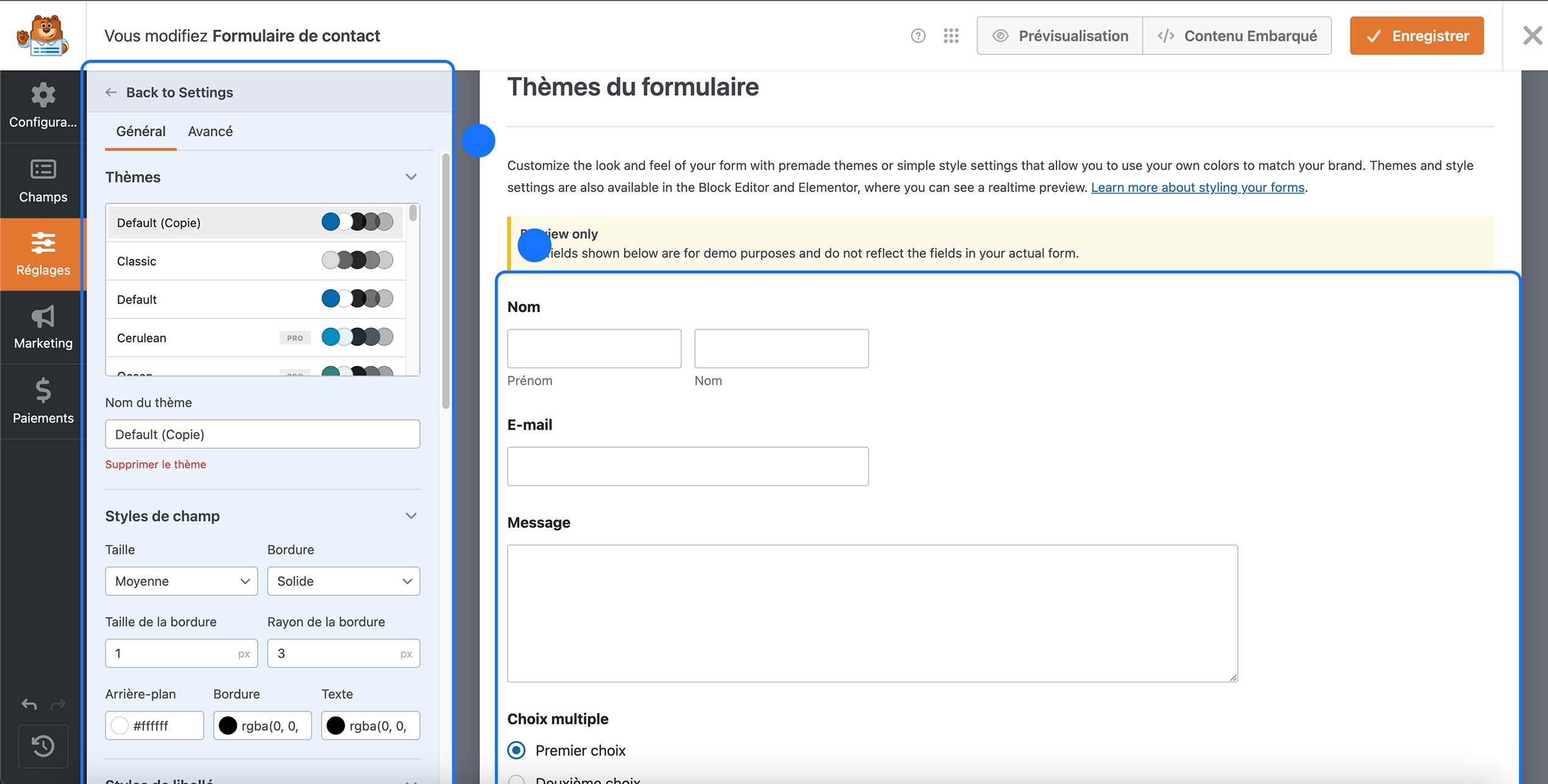 Personnalisation des thèmes et styles d’un formulaire de contact WordPress avec aperçu du design.