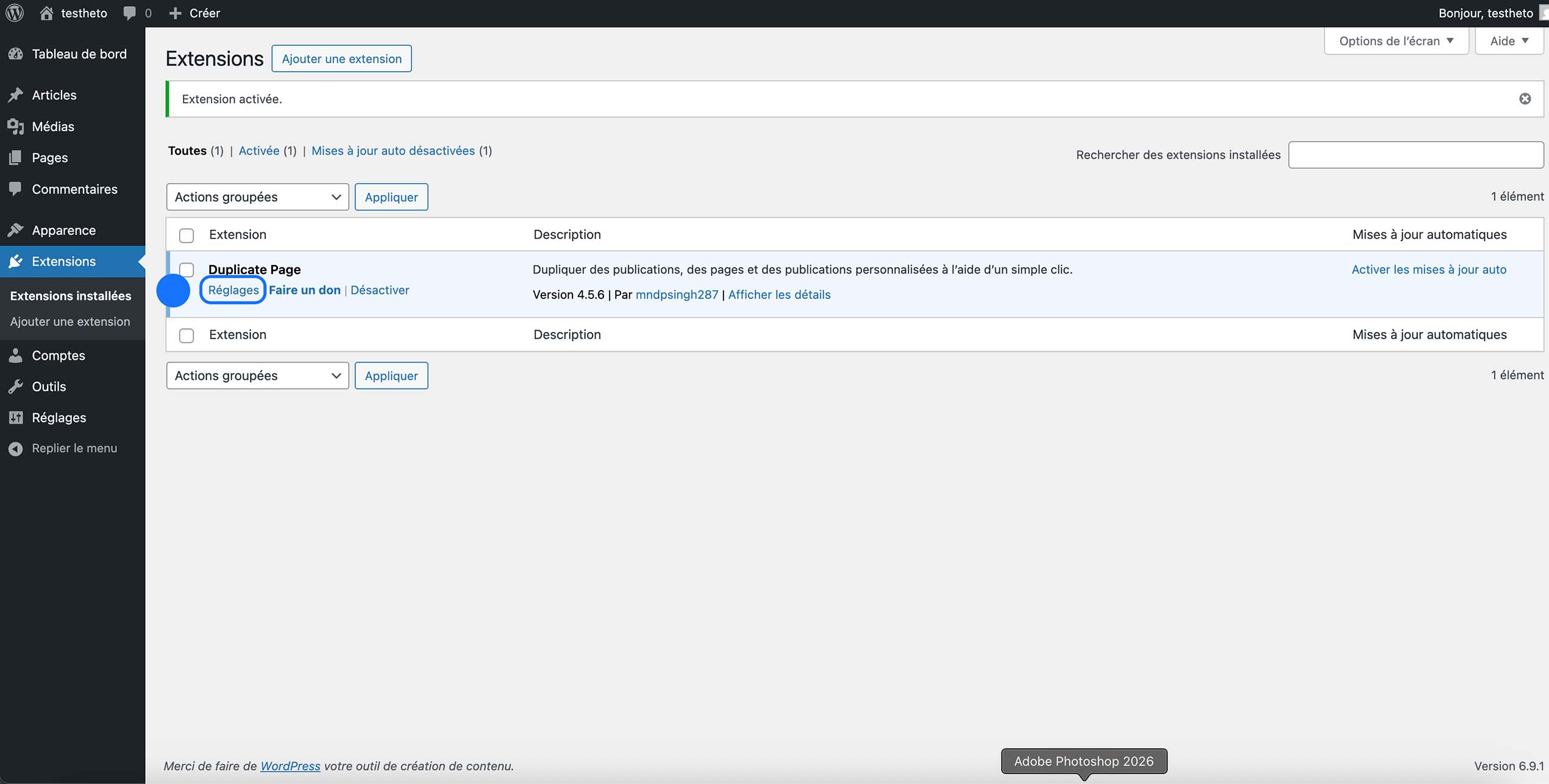 Capture d’écran de la page Extensions WordPress affichant le plugin Duplicate Page activé avec le lien vers ses réglages.
