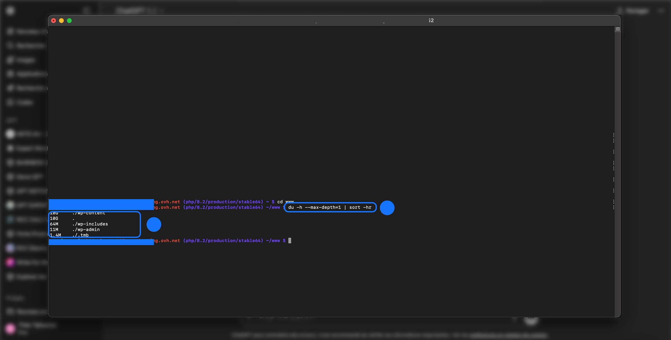 Fenêtre de terminal affichant l’analyse de l’espace disque dans le dossier www, avec une commande listant la taille des sous-répertoires et un classement du plus volumineux au plus léger pour identifier les éléments qui occupent le plus d’espace.