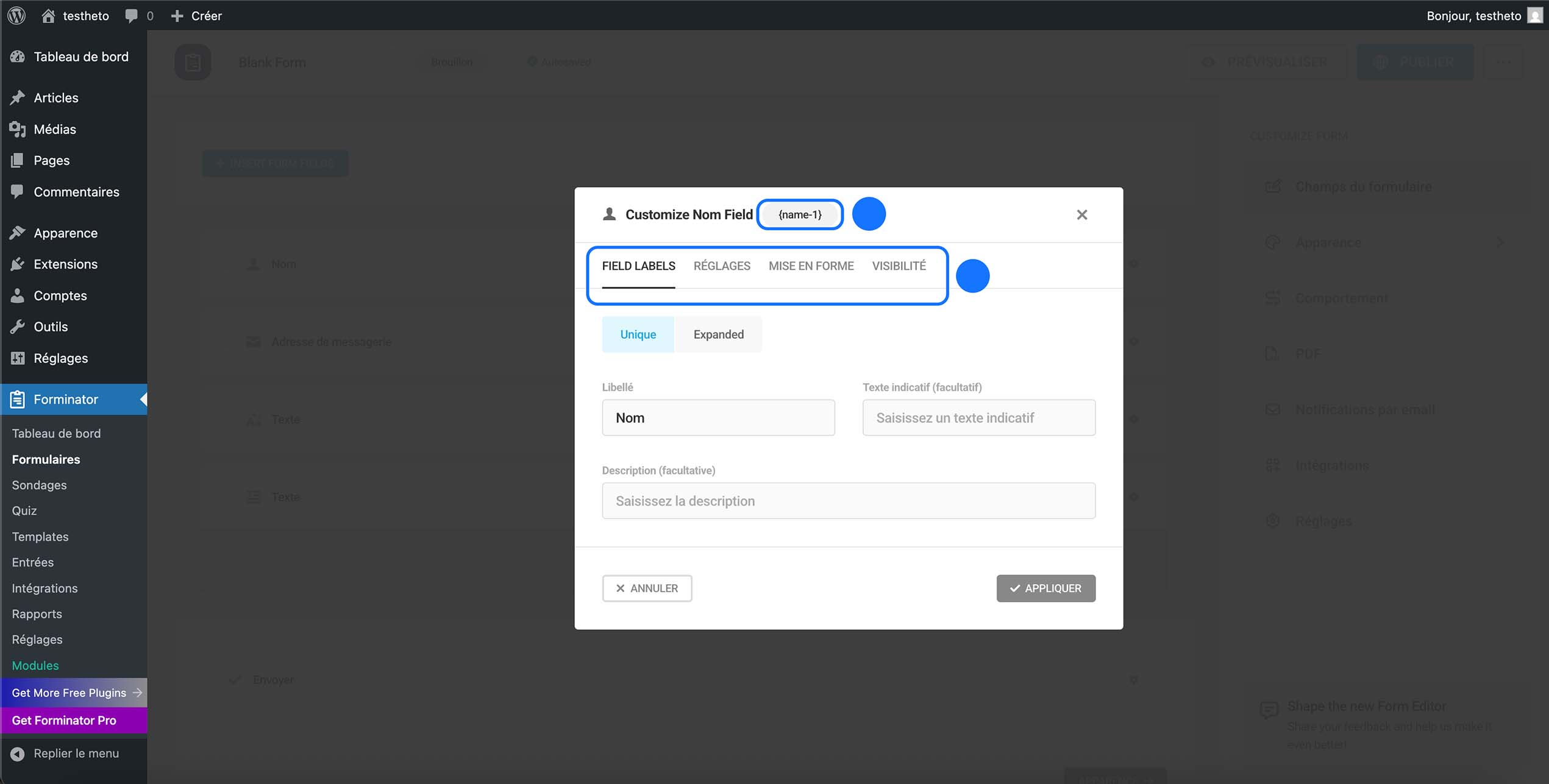 Personnalisation du champ Nom dans Forminator avec modification du libellé, texte indicatif et description du champ