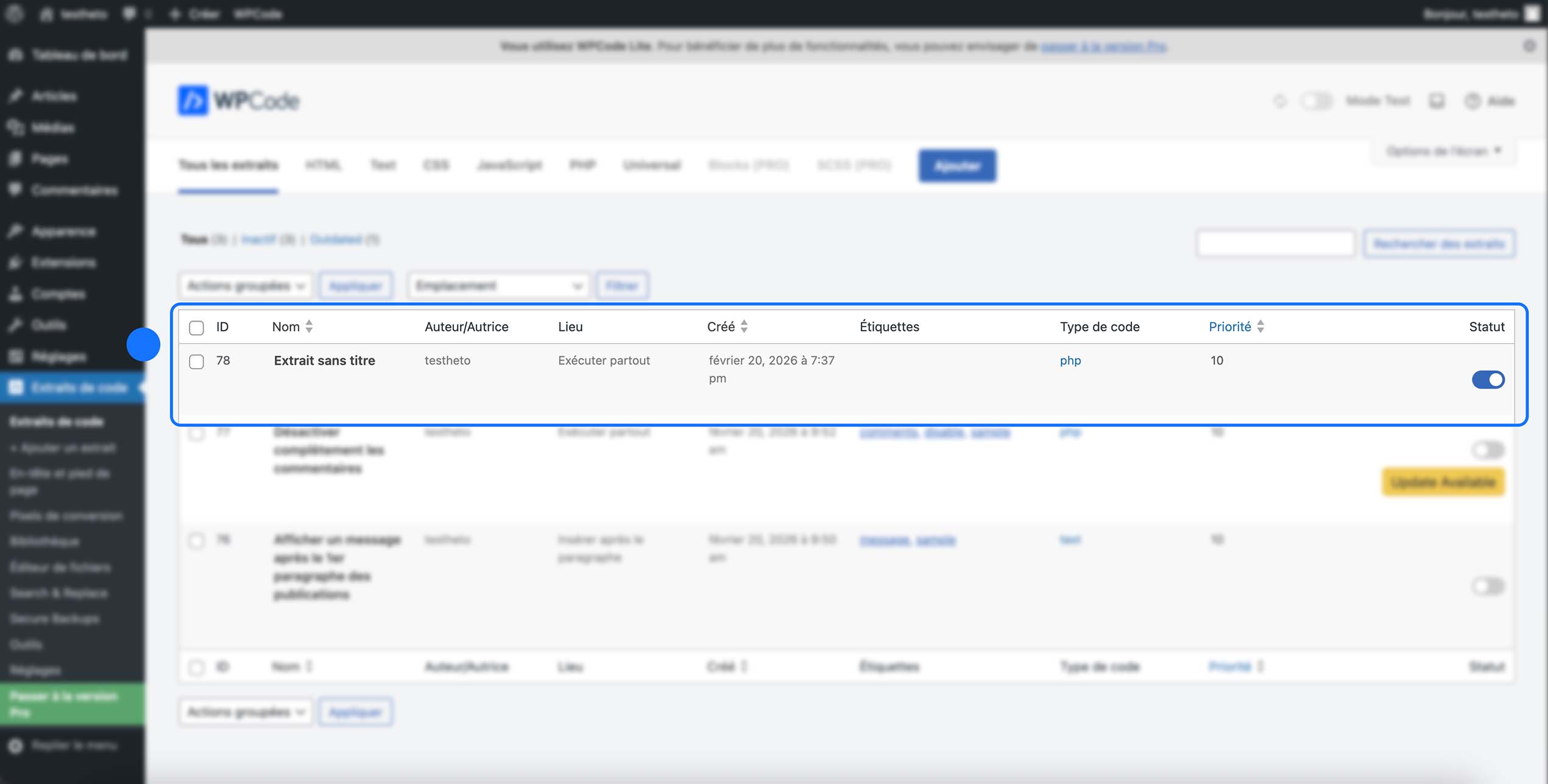 Visualisation de l’extrait de code actif « Extrait sans titre » exécuté partout sur le site, avec le type de code en PHP et le statut activé.
