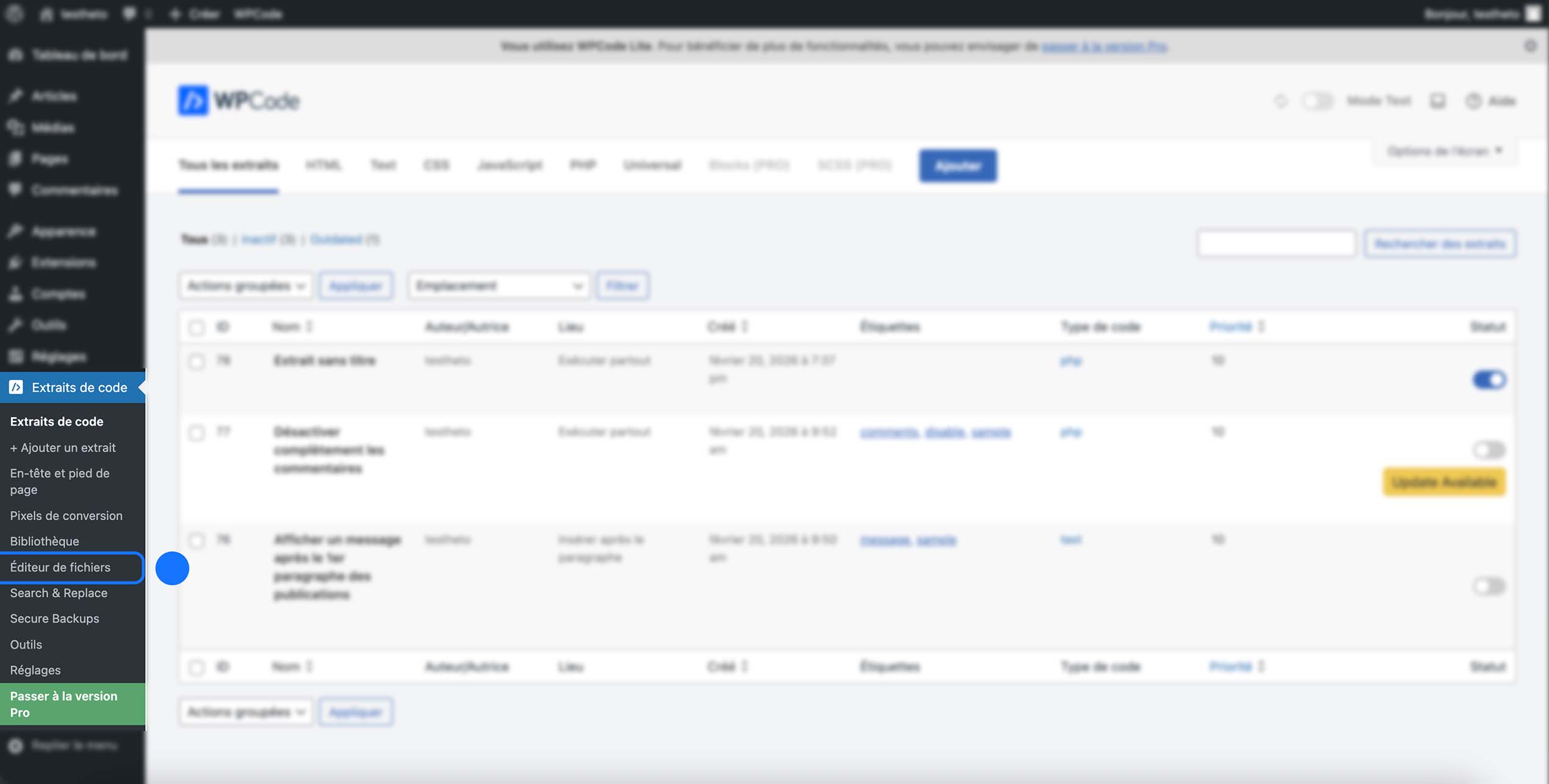 Accès à la section Éditeur de fichiers depuis le menu WPCode pour modifier directement les fichiers du site WordPress.