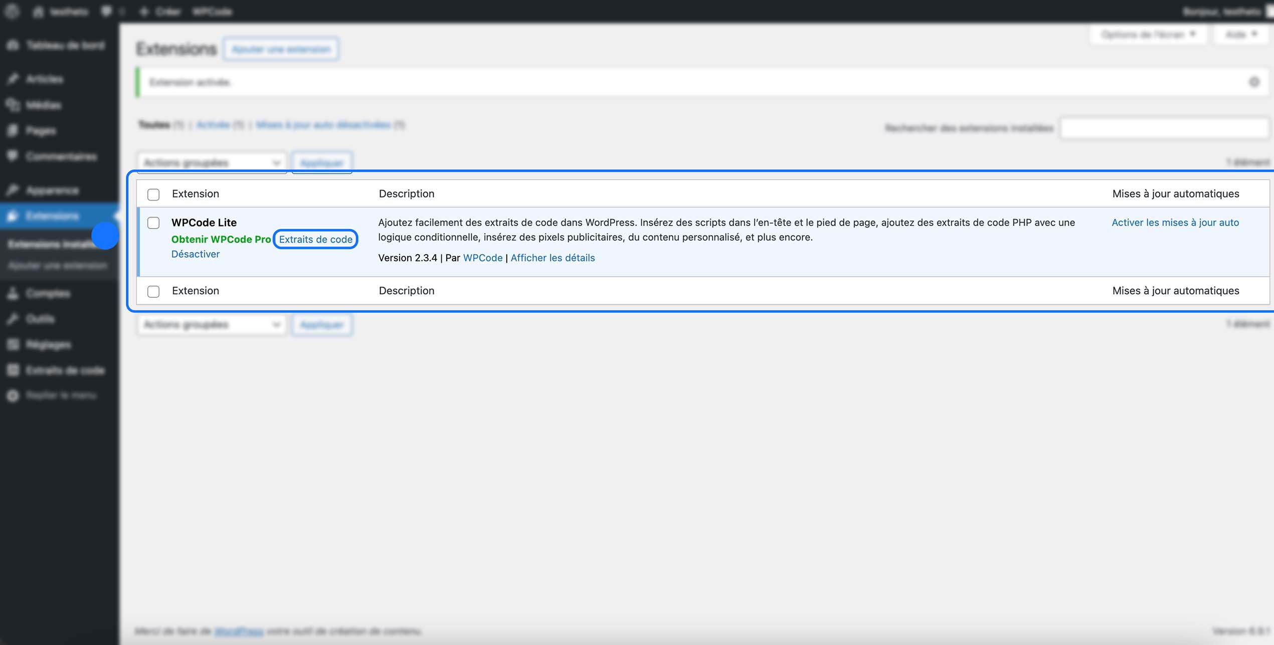 Page Extensions de WordPress affichant le plugin WPCode Lite activé, avec ses options (désactiver, voir les détails, activer les mises à jour automatiques) et le lien vers la section Extraits de code.