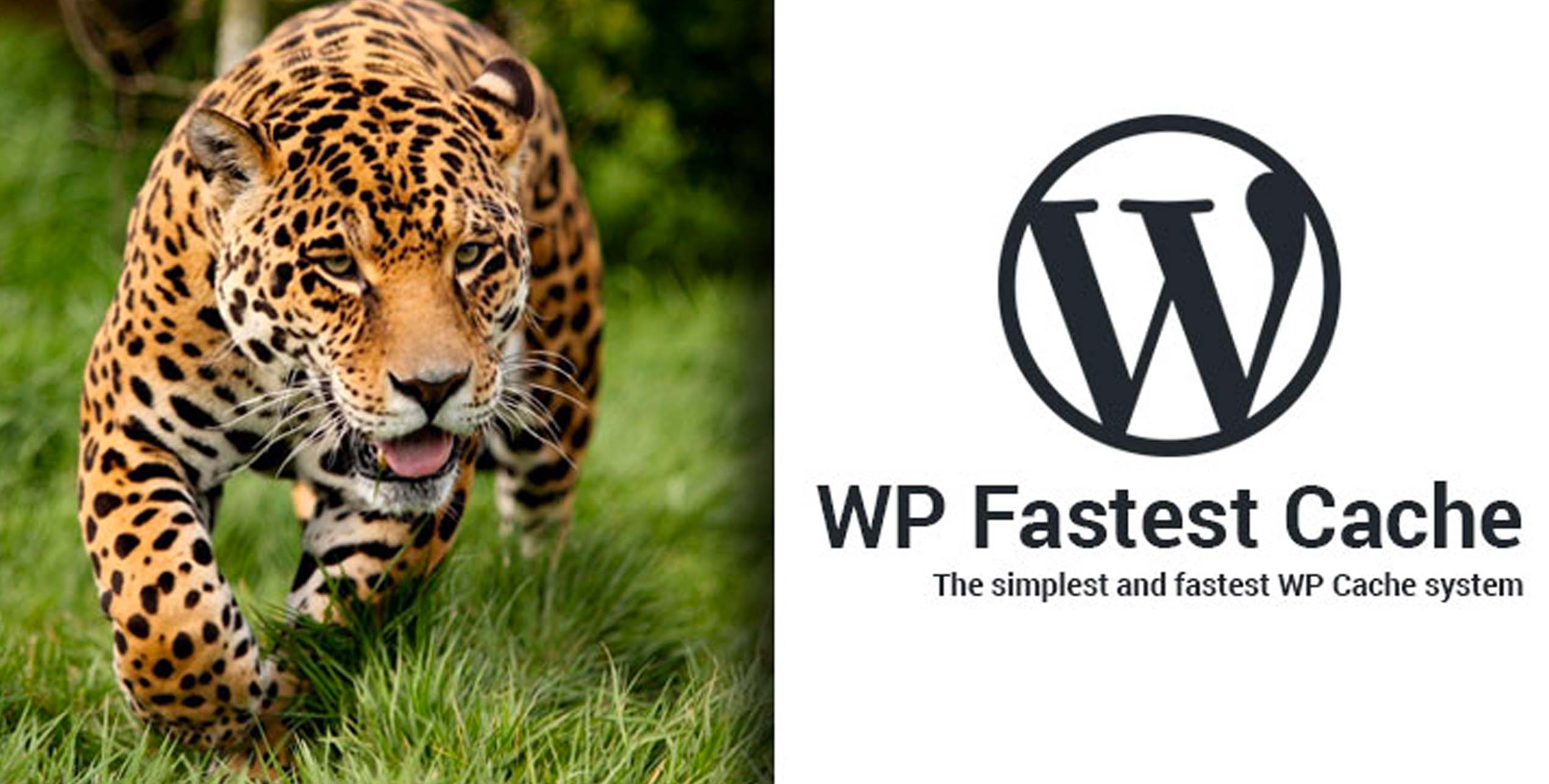 Logo WP Fastest Cache avec jaguar symbolisant la vitesse et plugin de cache WordPress.
