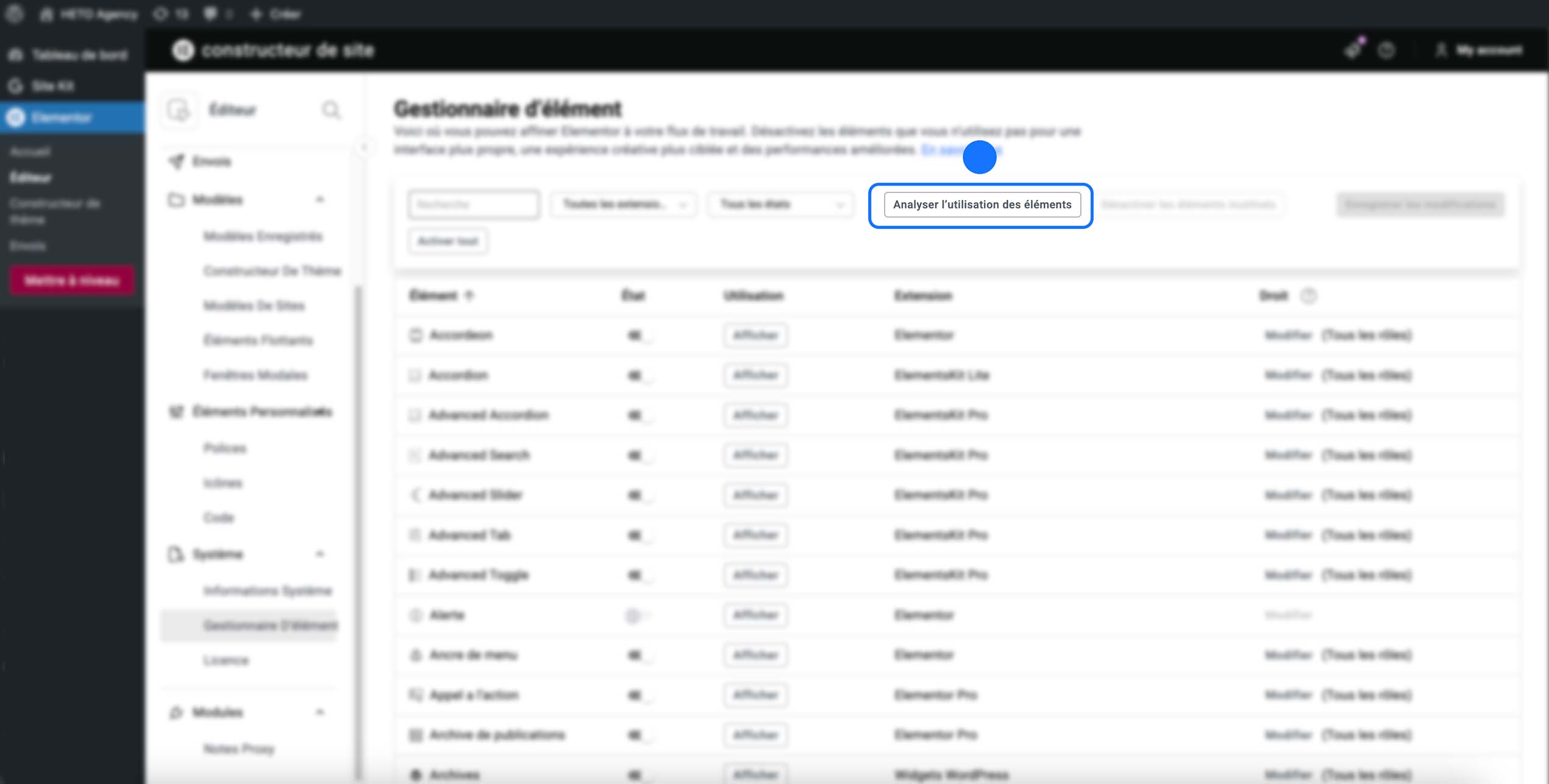 Capture d’écran du Gestionnaire d’éléments d’Elementor dans WordPress, mettant en avant le bouton “Analyser l’utilisation des éléments” pour identifier les widgets inutilisés et optimiser les performances du site.