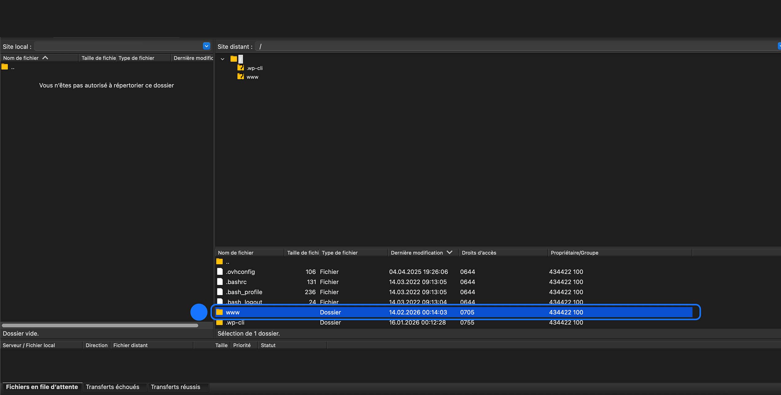 Capture d’écran d’un client FTP affichant l’arborescence du serveur distant, avec le dossier “www” sélectionné, correspondant au répertoire racine du site WordPress où sont stockés les fichiers du site.