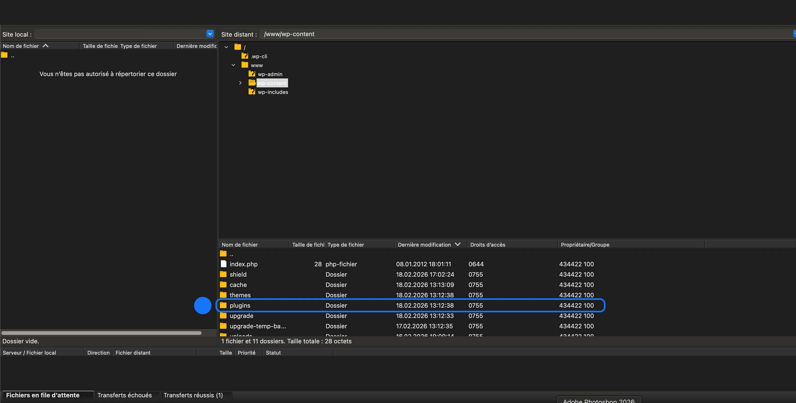 Navigation dans /www/wp-content puis sélection du dossier plugins pour gérer les extensions WordPress (désactivation, renommage ou suppression en cas de conflit).