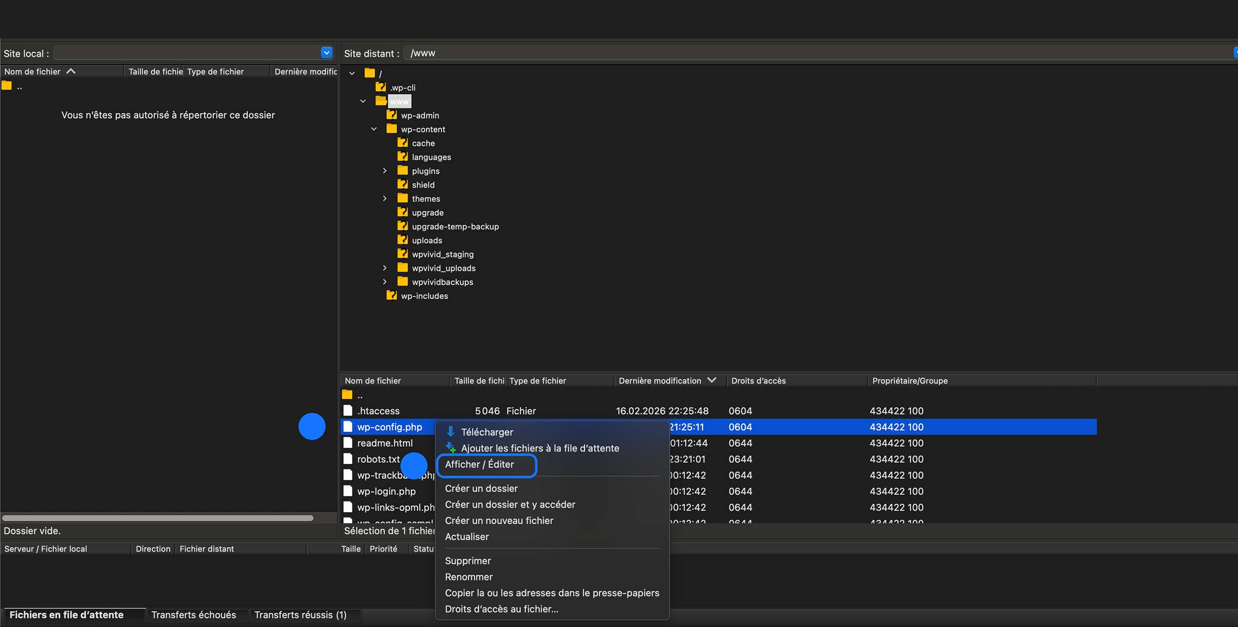 Ouverture et modification du fichier wp-config.php via FTP (clic droit → Afficher / Éditer) pour ajuster la configuration WordPress.
