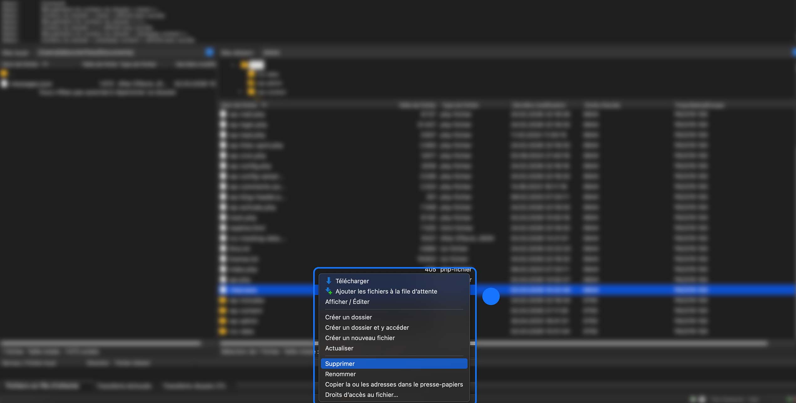 Menu contextuel affichant des options de gestion de fichiers dans un logiciel de gestion de fichiers.