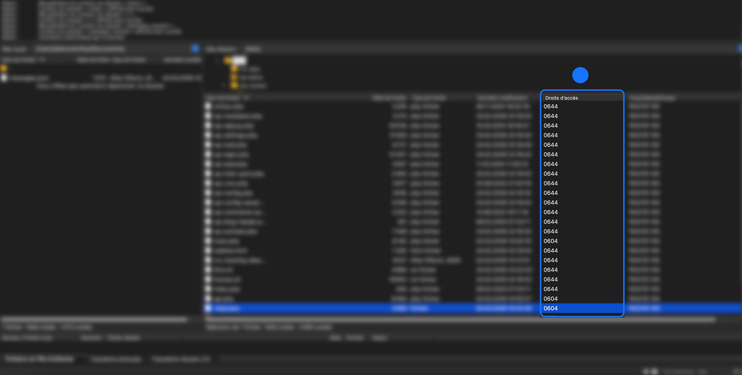 Interface d'un logiciel de gestion de fichiers avec une liste de fichiers affichée.