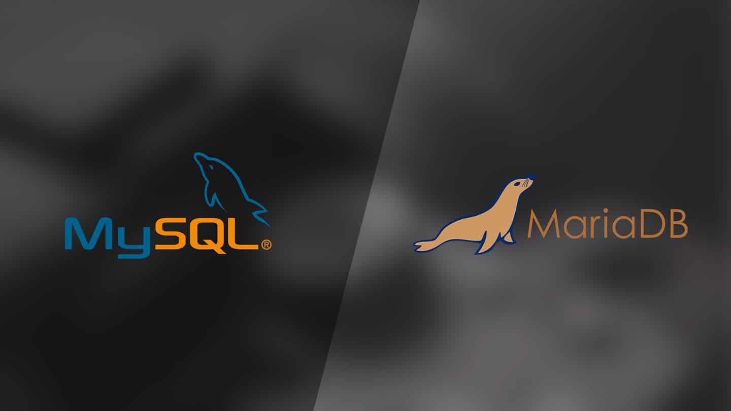 Logos de MySQL et MariaDB sur fond flou